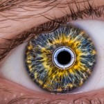 iRobot Eye v2.o