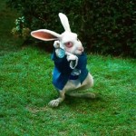 Lapin alice