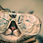 Idées pour un blog qui déchire
